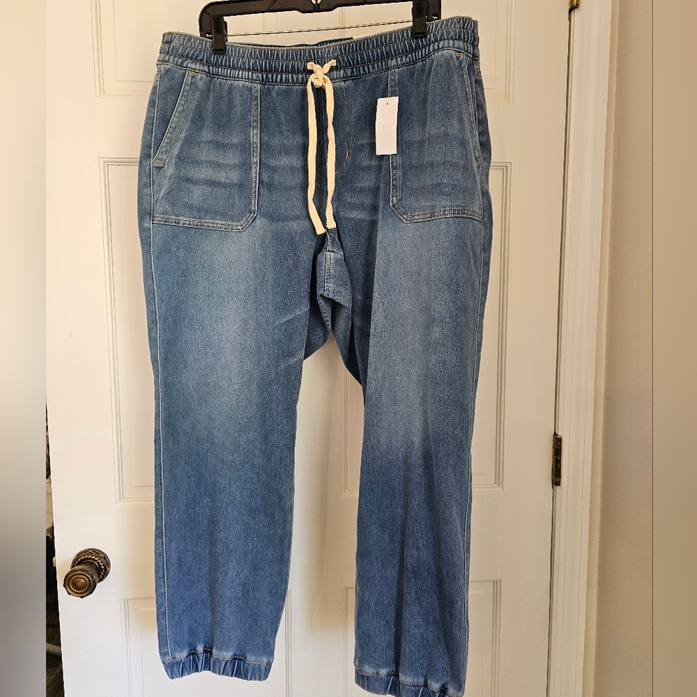 Lane Bryant Jogger style pull on jeans